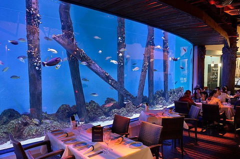 Cairns Aquarium And Small Group City Sightseeing Tour - Accommodation Bookings 4