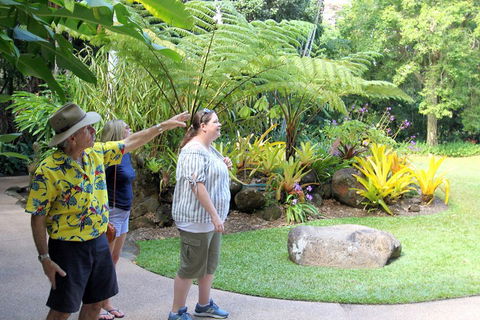 Cairns Shore Excursion: Cairns City Sights & Surrounds Tour - Accommodation Bookings 4