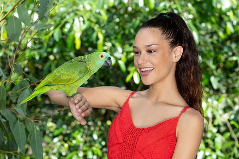 Kuranda Wildlife Experience Three Attraction Pass - Accommodation Bookings 1