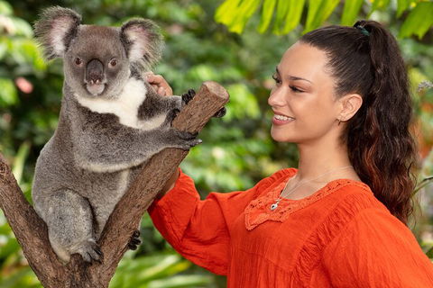 Kuranda Wildlife Experience Three Attraction Pass - Accommodation Bookings 4