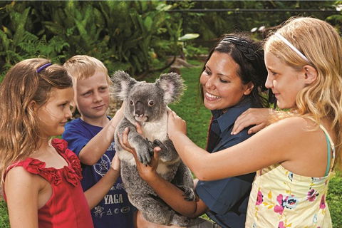 Kuranda Koala Gardens General Entry Ticket - Accommodation Bookings 0