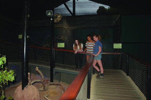 Kuranda Koala Gardens General Entry Ticket - Accommodation Bookings 2