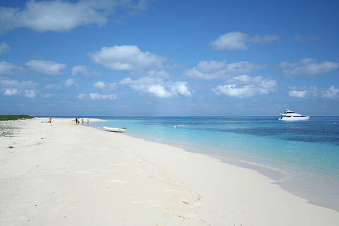 Seastar Luxury Outer Great Barrier Reef Island And Reef Tour From Cairns - Accommodation Bookings 3