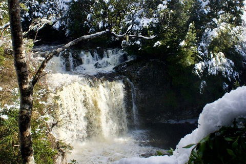 Cradle Mountain Day Tour From Launceston Including Lunch - Accommodation Bookings 0