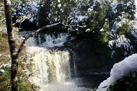 Cradle Mountain Park Explorer Guided Tour - Accommodation Bookings 4
