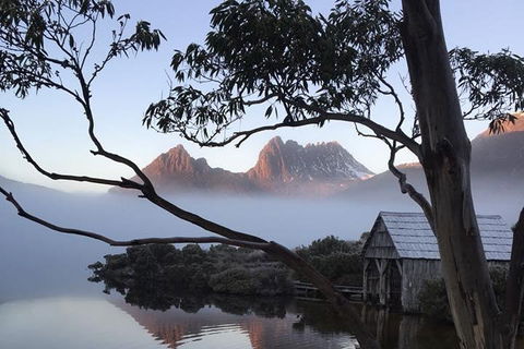 Cradle Mountain Park Explorer Guided Tour - Accommodation Bookings 5