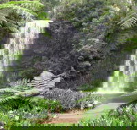 Private Daintree and Cape Tribulation Tour from Port Douglas - Accommodation Bookings