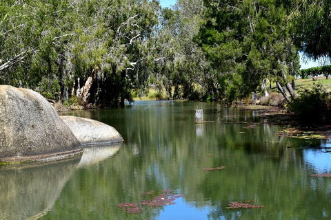 Private Daintree And Cape Tribulation Tour From Port Douglas - Accommodation Bookings 3