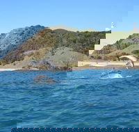 Kayaking with Dolphins in Byron Bay Guided Tour - Accommodation Bookings