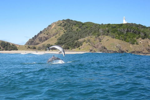 Kayaking With Dolphins In Byron Bay Guided Tour - Accommodation Bookings 0