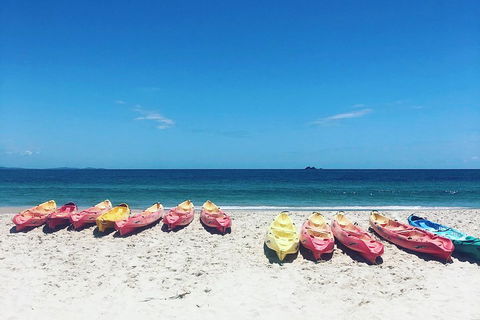 Kayaking With Dolphins In Byron Bay Guided Tour - Accommodation Bookings 1