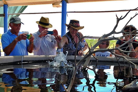Cape Leveque 4WD Tour From Broome With Optional Return Flight - Accommodation Bookings 0
