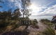 Bruny Island Day Tour, Includes Lunch And Exclusive Lighthouse Tour - thumb 5