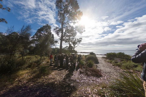Bruny Island Day Tour, Includes Lunch And Exclusive Lighthouse Tour - Accommodation Bookings 5