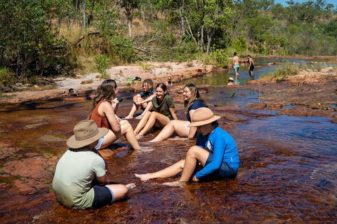 Litchfield National Park Waterfalls And Wildlife Tour From Darwin - Accommodation Bookings 1