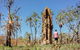 Litchfield National Park Waterfalls And Wildlife Tour From Darwin - thumb 4