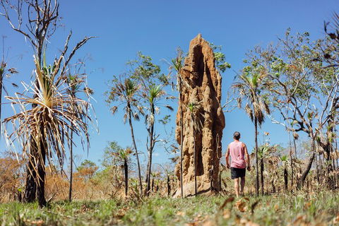 Litchfield National Park Waterfalls And Wildlife Tour From Darwin - Accommodation Bookings 4