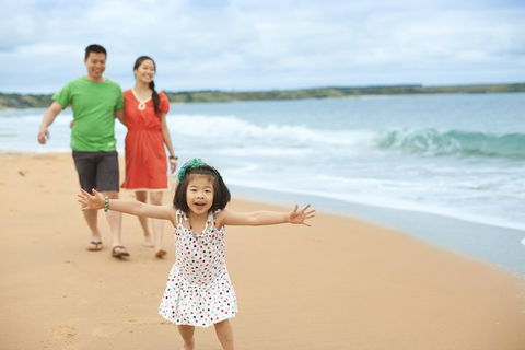 Phillip Island Penguin Parade Day Trip With Koala Conservation Reserve Visit - Accommodation Bookings 5