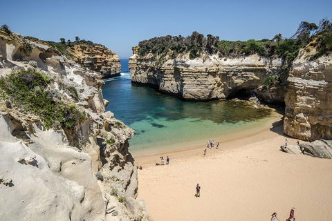Great Ocean Road Reverse Itinerary With 12 Apostles From Melbourne - Accommodation Bookings 5