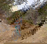 Mount Lofty Descent Bike Tour from Adelaide - Accommodation Bookings