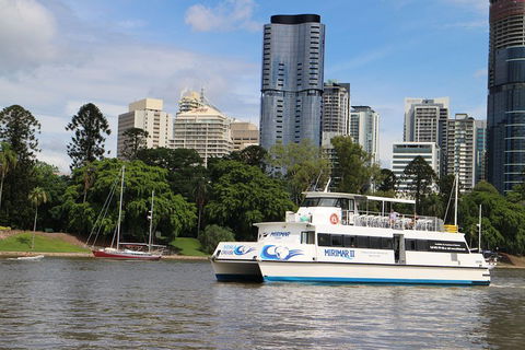 Lone Pine Koala Sanctuary Admission With Brisbane River Cruise - Accommodation Bookings 2