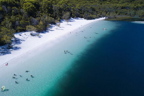 All-Inclusive Fraser Island Day Tour - Accommodation Bookings 0