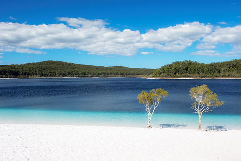 All-Inclusive Fraser Island Day Tour - Accommodation Bookings 3