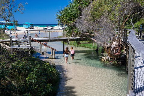 All-Inclusive Fraser Island Day Tour - Accommodation Bookings 4