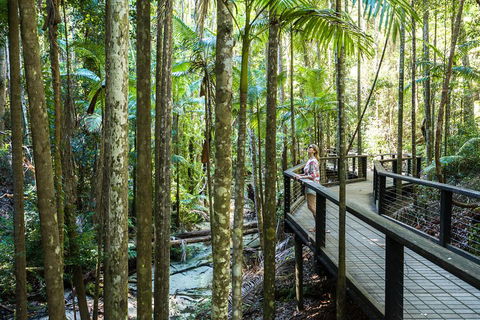 All-Inclusive Fraser Island Day Tour - Accommodation Bookings 5