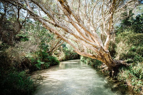 3-Day Fraser Island Resort Package - Accommodation Bookings 5
