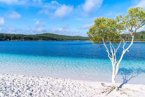 Lake McKenzie Full-Day Tour With Lunch From Hervey Bay - Accommodation Bookings 1