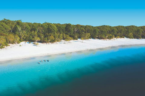 Lake McKenzie Full-Day Tour With Lunch From Hervey Bay - Accommodation Bookings 4