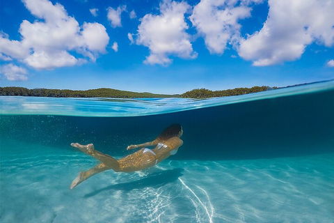 Lake McKenzie Full-Day Tour With Lunch From Hervey Bay - Accommodation Bookings 5