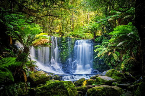 Day Tour In Mt. Field, Mt. Wellington, Bonorong Wildlife Sanctuary And Richmond - Accommodation Bookings 0