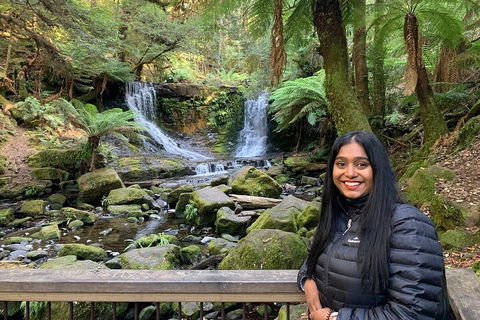 Day Tour In Mt. Field, Mt. Wellington, Bonorong Wildlife Sanctuary And Richmond - Accommodation Bookings 5
