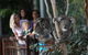 Australian Wildlife Tour At Melbourne Zoo Ticket - thumb 2