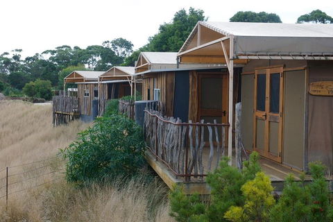 Slumber Safari At Werribee Open Range Zoo - Accommodation Bookings 4