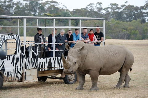 Off-Road Safari At Werribee Open Range Zoo - Accommodation Bookings 0