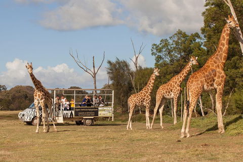 Off-Road Safari At Werribee Open Range Zoo - Accommodation Bookings 3