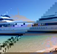 Moreton Island Day Trip Kayak Snorkel  Sandboard frm Brisbane or Gold Coast - Accommodation Bookings