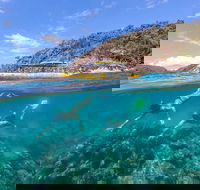 Great Barrier Reef Scenic Flight and Ocean Rafting Whitehaven Beach Day Trip - Accommodation Bookings