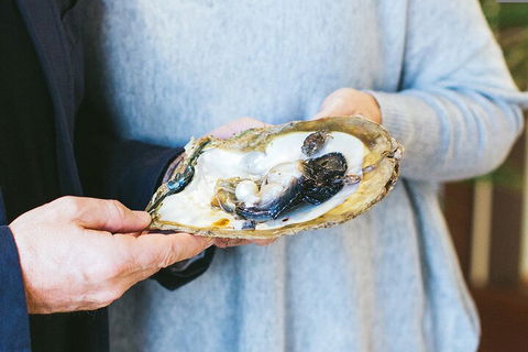 Half-Day Willie Creek Pearl Farm Tour With Helicopter Flight - Accommodation Bookings 3