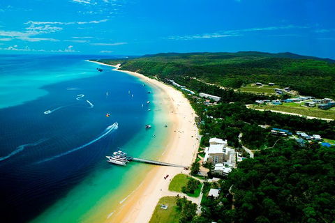 Tangalooma Island Resort Whale Watching Day Cruise - Accommodation Bookings 2