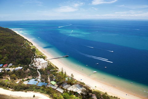 Tangalooma Island Resort Whale Watching Day Cruise - Accommodation Bookings 3