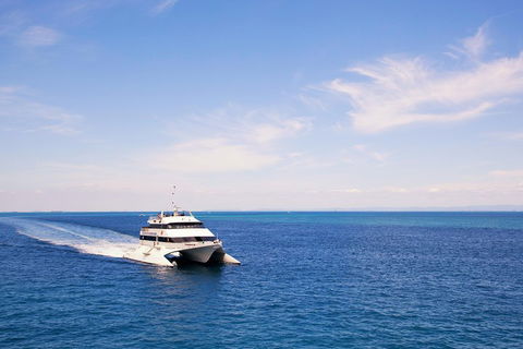 Tangalooma Island Resort Whale Watching Day Cruise - Accommodation Bookings 5