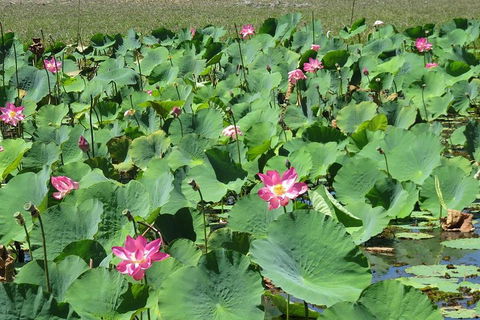 Darwin To Kakadu Day Trip By Air Including Yellow Water Cruise - Accommodation Bookings 2