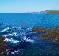 Julian Rocks Byron Bay Cruise - Accommodation Bookings