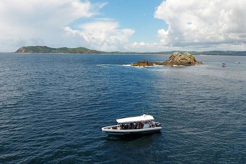 Julian Rocks Byron Bay Cruise - Accommodation Bookings 5
