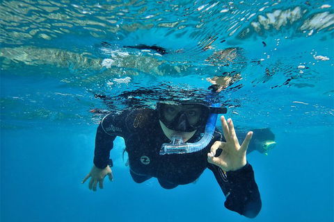 3 Day Whitsundays Sailing And Diving Adventure: Kiana - Accommodation Bookings 0