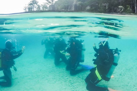 3 Day Whitsundays Sailing And Diving Adventure: Kiana - Accommodation Bookings 4